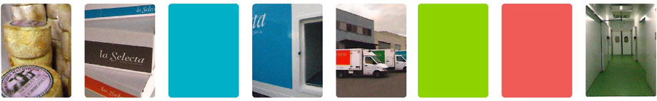 Show Business Color Variation
