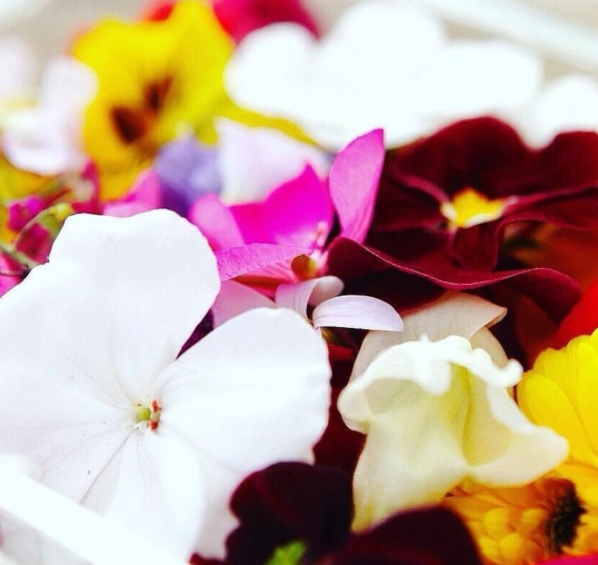 flors can garus