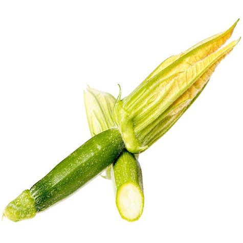 MICRO-VERDURA-CALABACIN-CON-FLOR13